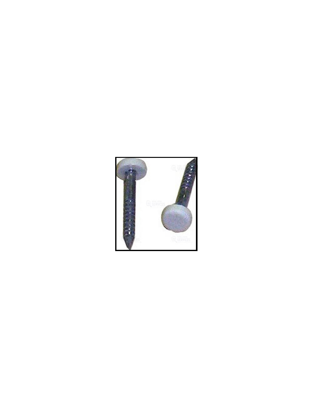 Pointe tête blanche 25mm / Par sachet de 50
