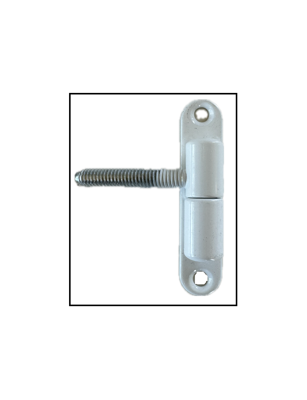 Gonds de porte 174/13 M7X40 blanc