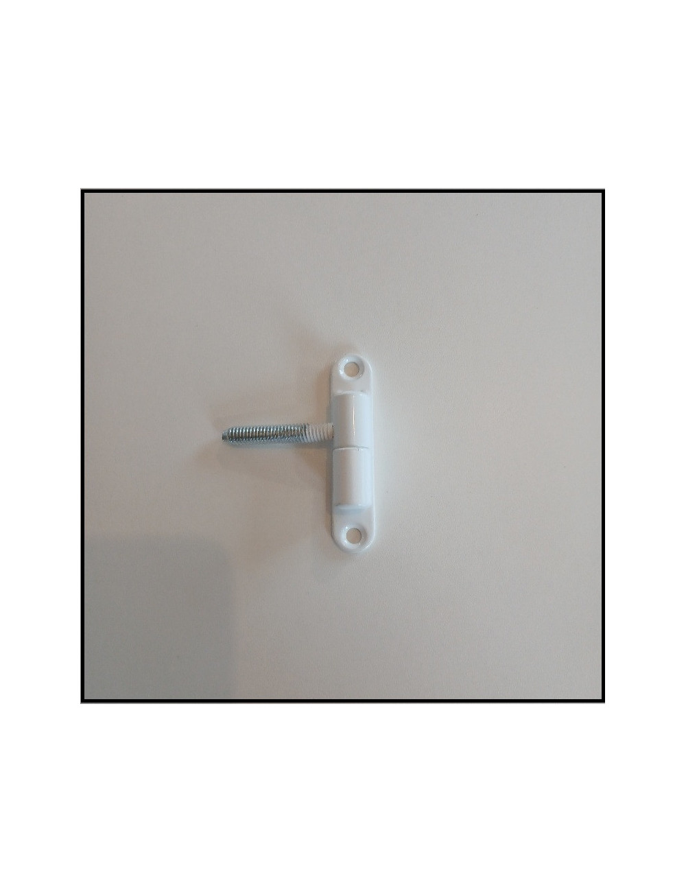 Gonds de porte 174/13 M7X40 blanc